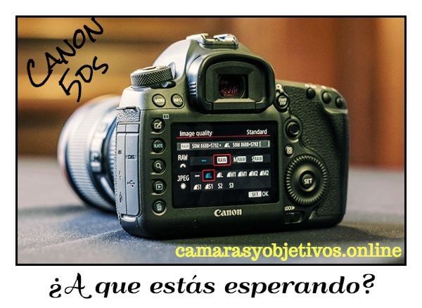 Canon 5ds