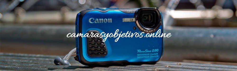 Canon d30